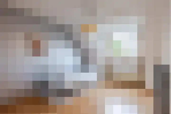 Beeklaan 170 Tilburg thumbnail 14