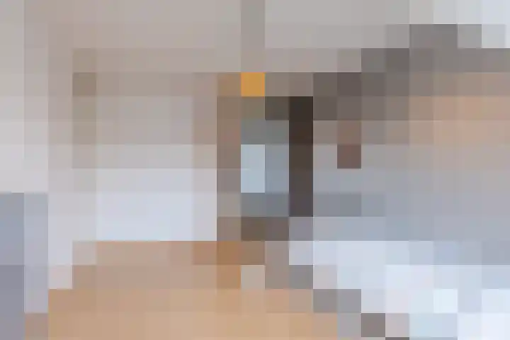 Beeklaan 170 Tilburg thumbnail 15