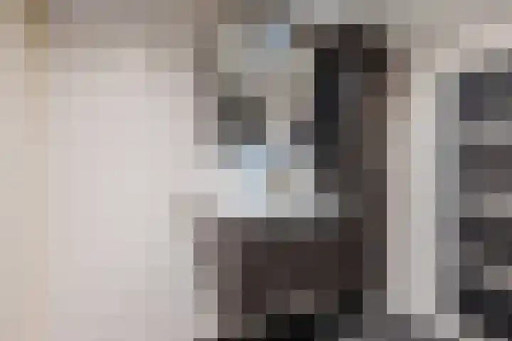 Beeklaan 170 Tilburg thumbnail 17