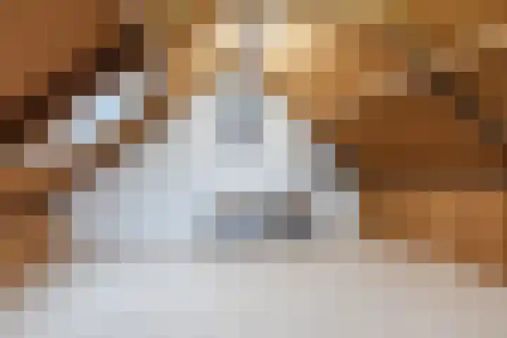 Beeklaan 170 Tilburg thumbnail 19