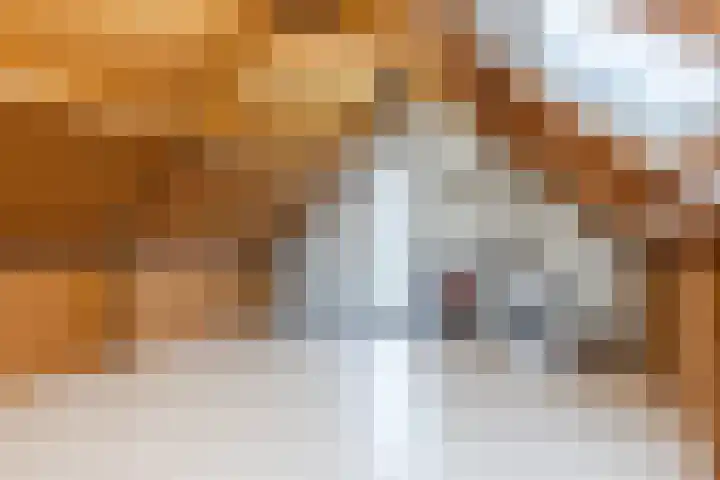 Beeklaan 170 Tilburg thumbnail 20