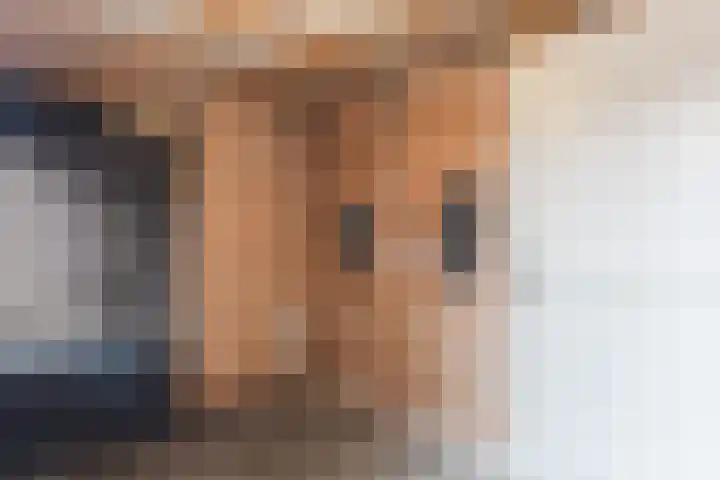 Beeklaan 170 Tilburg thumbnail 25
