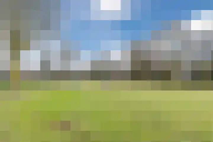 Beeklaan 170 Tilburg thumbnail 29