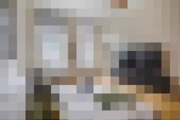 Beeklaan 177 Den Haag thumbnail 6