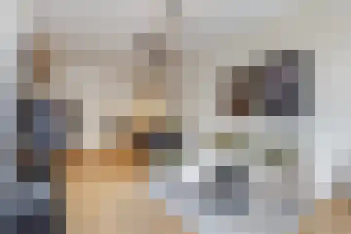 Beeklaan 177 Den Haag thumbnail 7