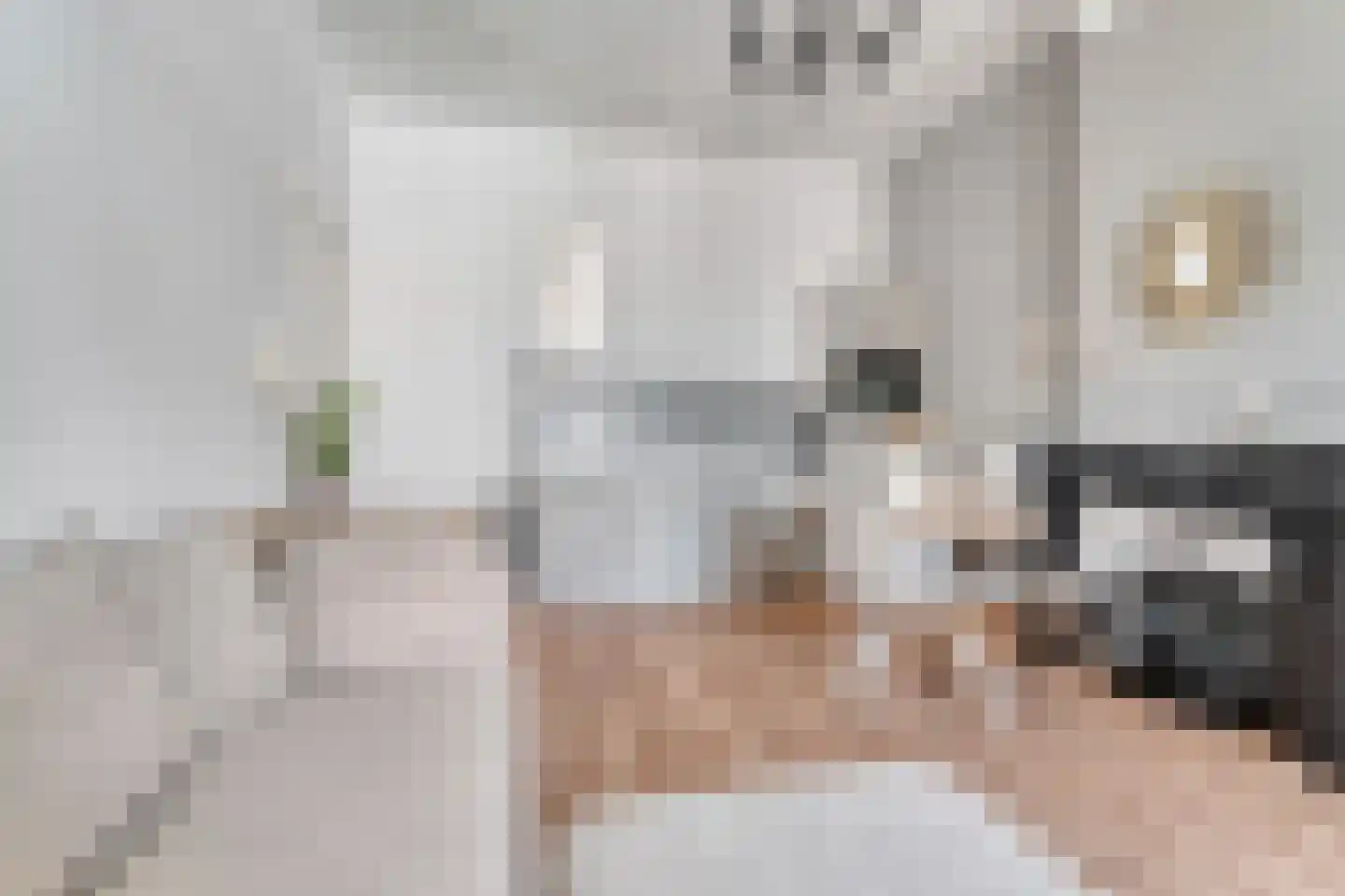 Beeklaan 179 Den Haag thumbnail 37