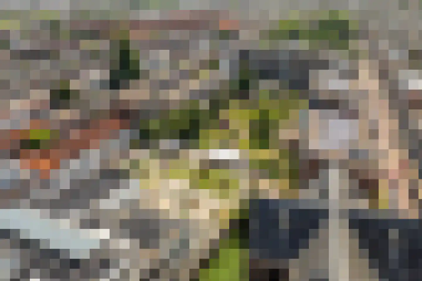 Beeklaan 179 Den Haag thumbnail 41