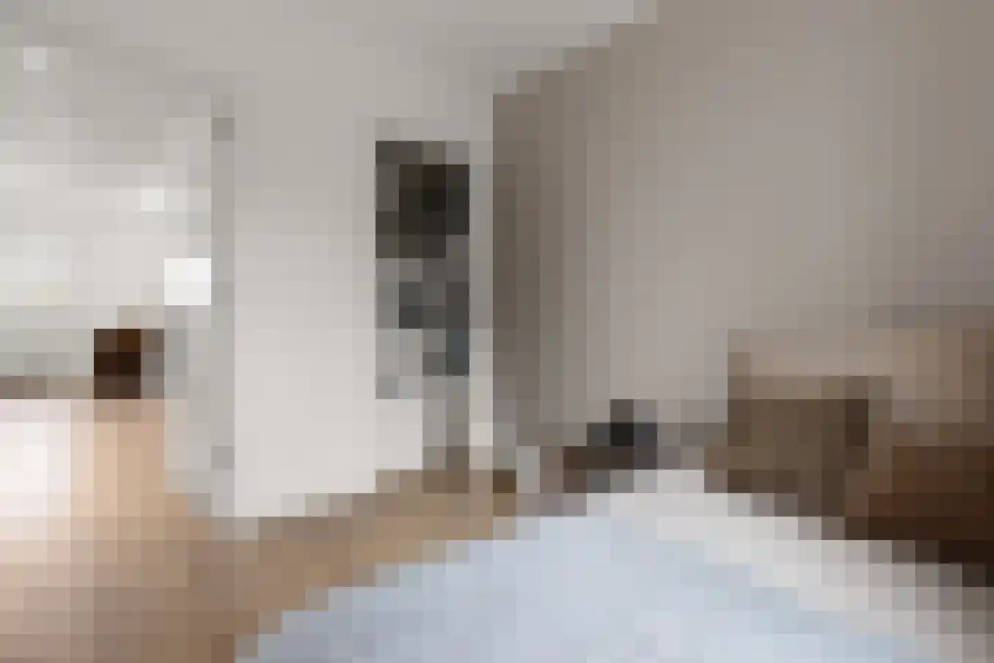 Beeklaan 187 C Den Haag thumbnail 16