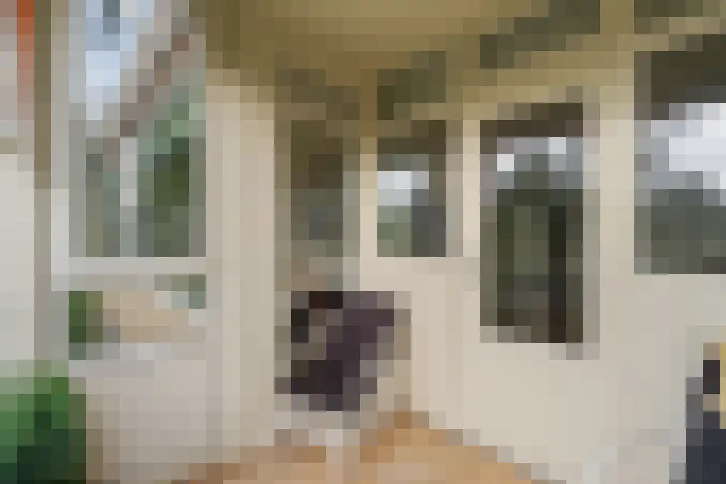 Beeklaan 196 Noordwijk thumbnail 15