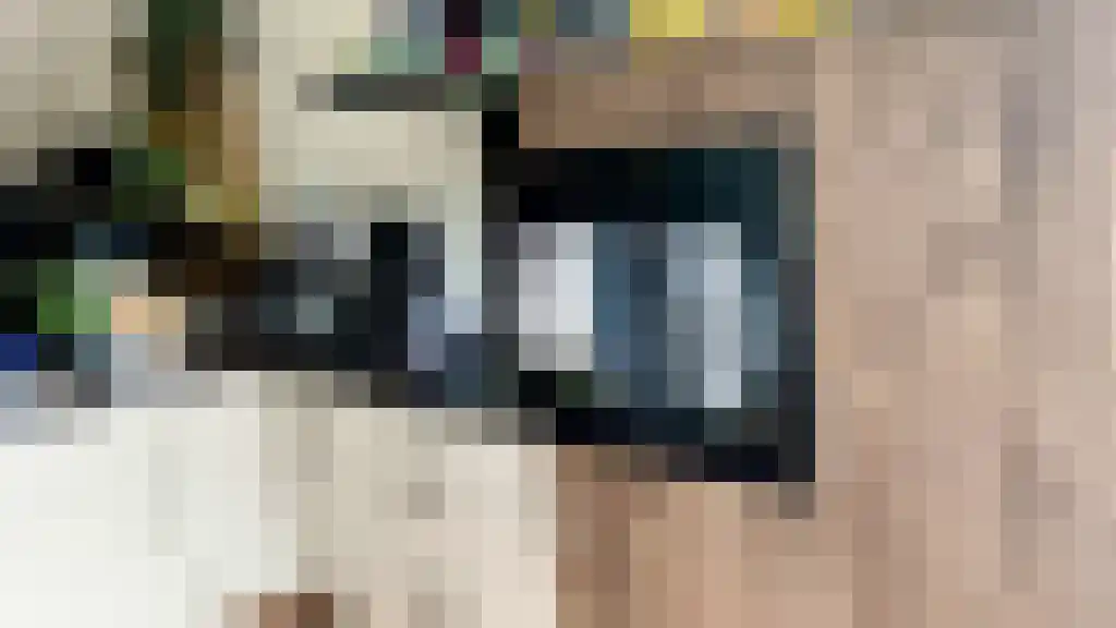 Beeklaan 213 Den Haag thumbnail 4