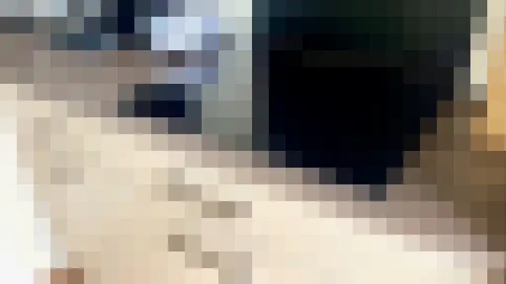 Beeklaan 213 Den Haag thumbnail 5