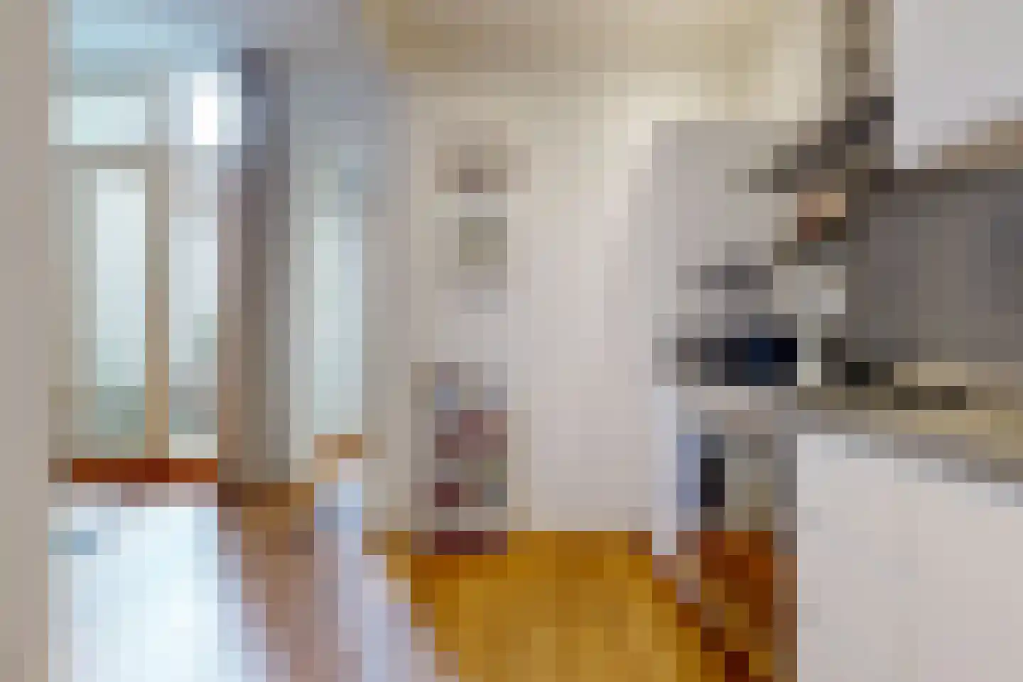 Beeklaan 214 Den Haag thumbnail 14
