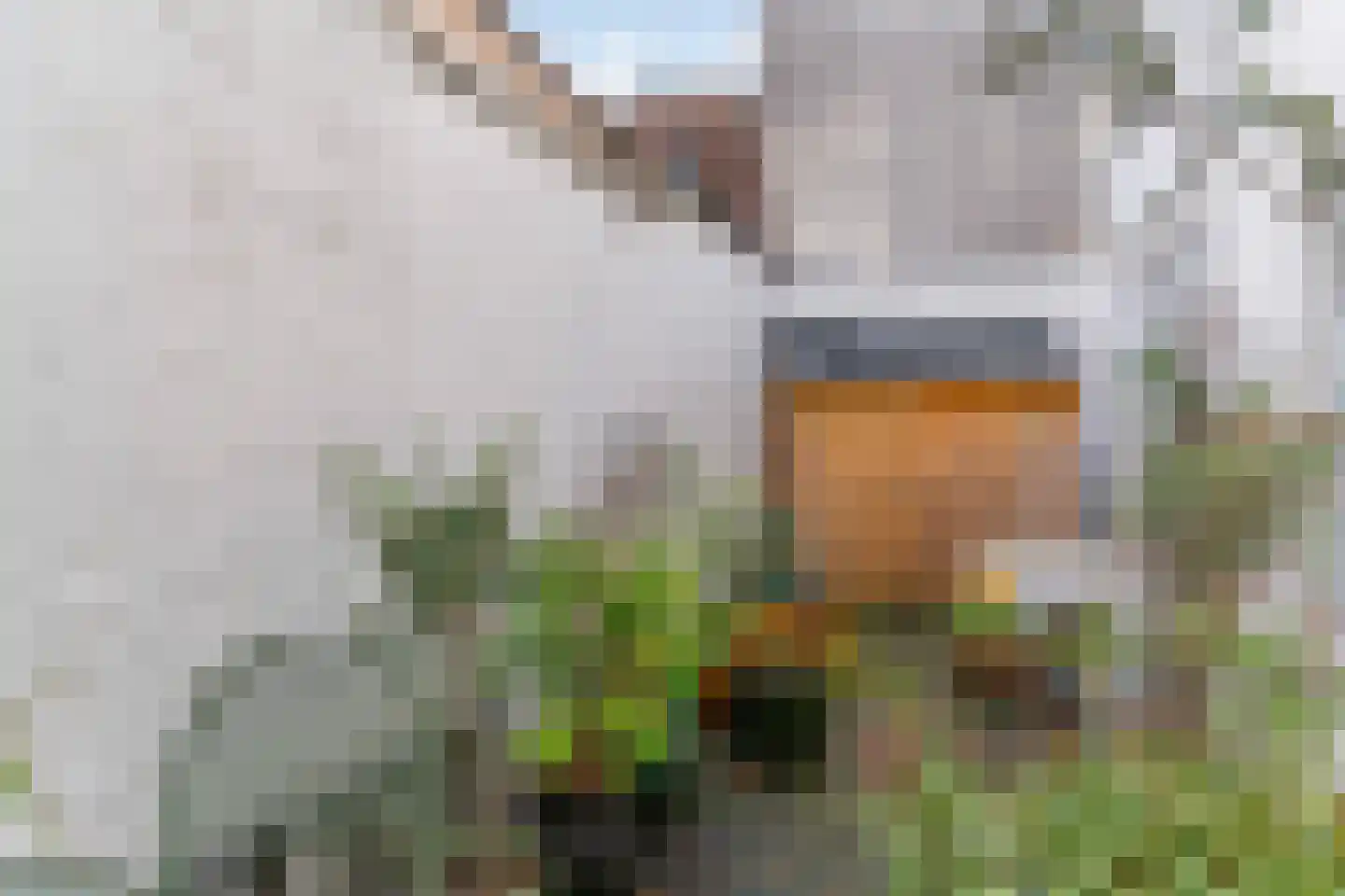 Beeklaan 214 Den Haag thumbnail 26