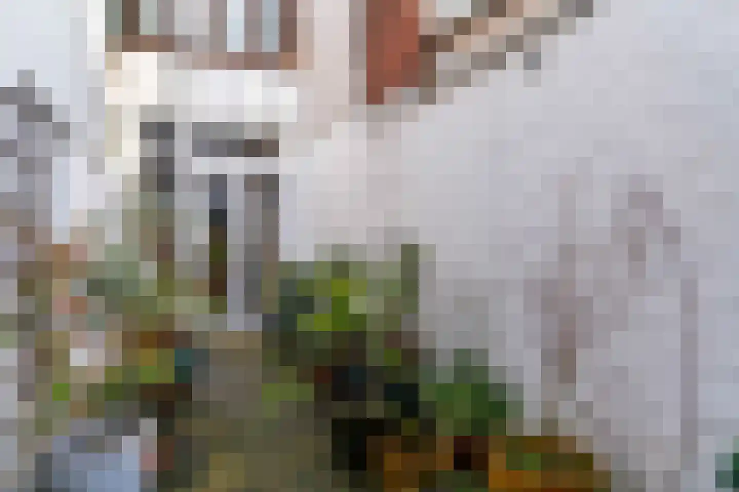 Beeklaan 214 Den Haag thumbnail 28