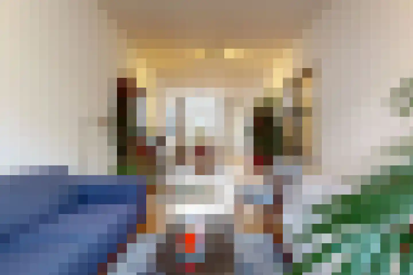 Beeklaan 214 Den Haag thumbnail 6