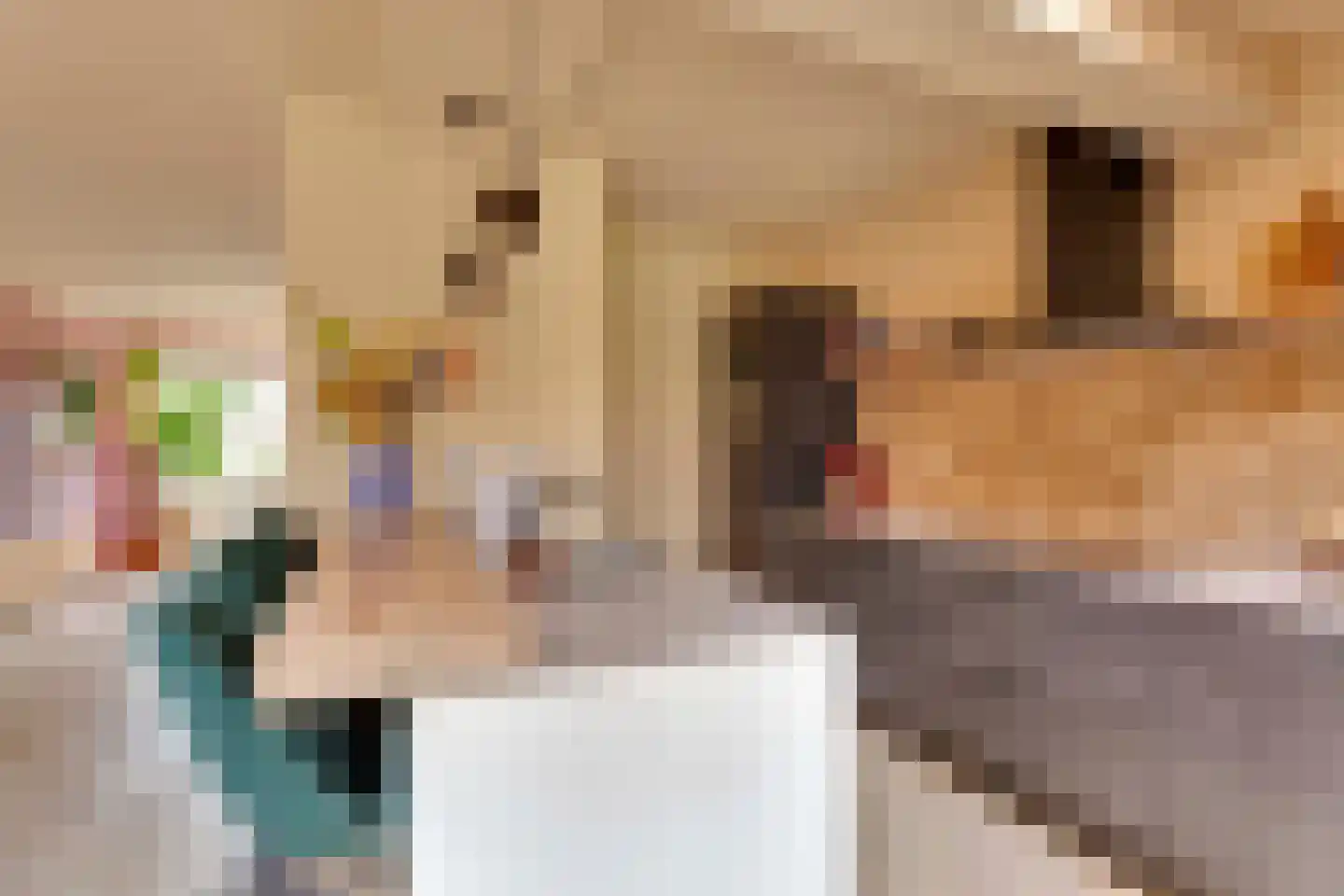 Beeklaan 22 Oldebroek thumbnail 28