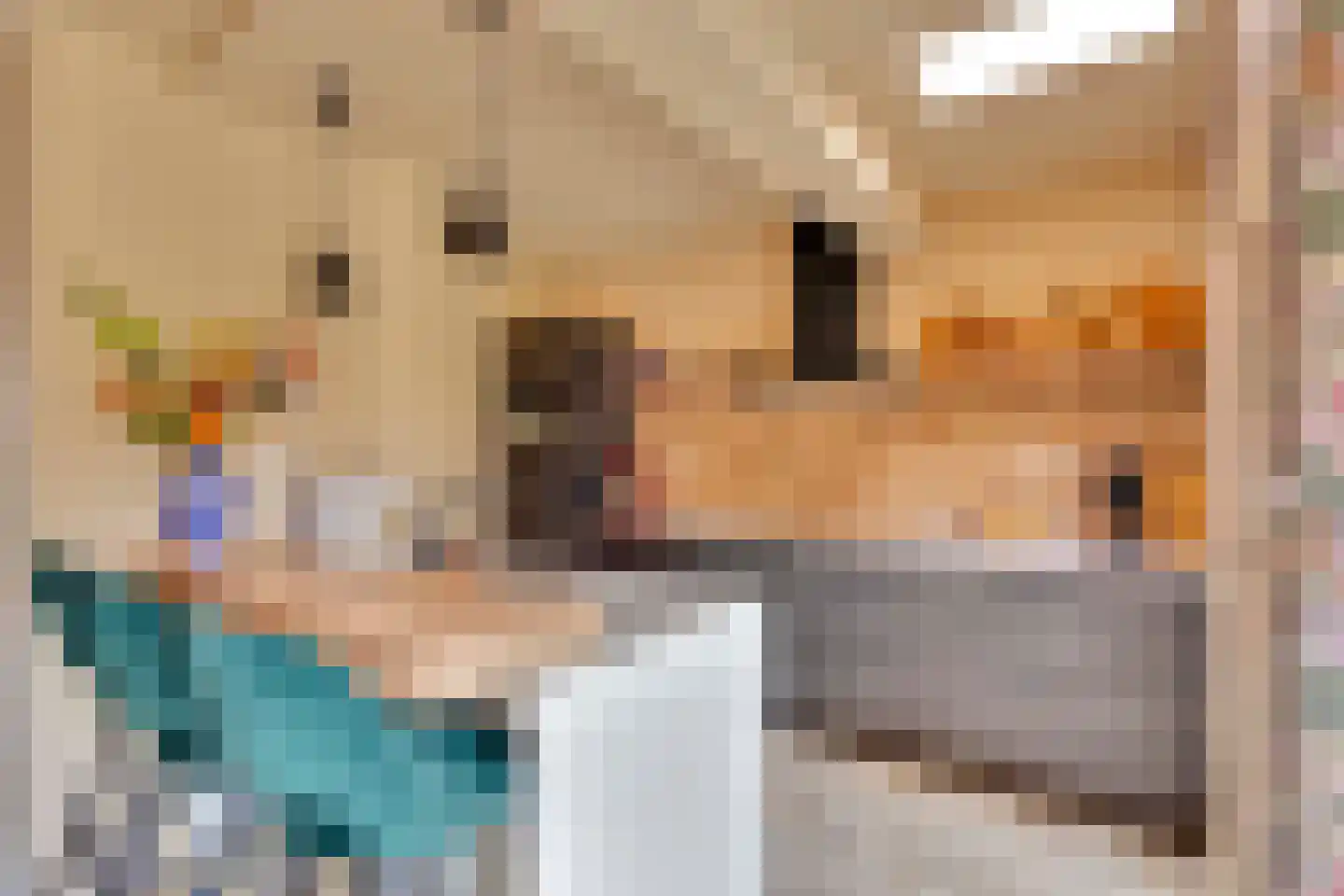 Beeklaan 22 Oldebroek thumbnail 5