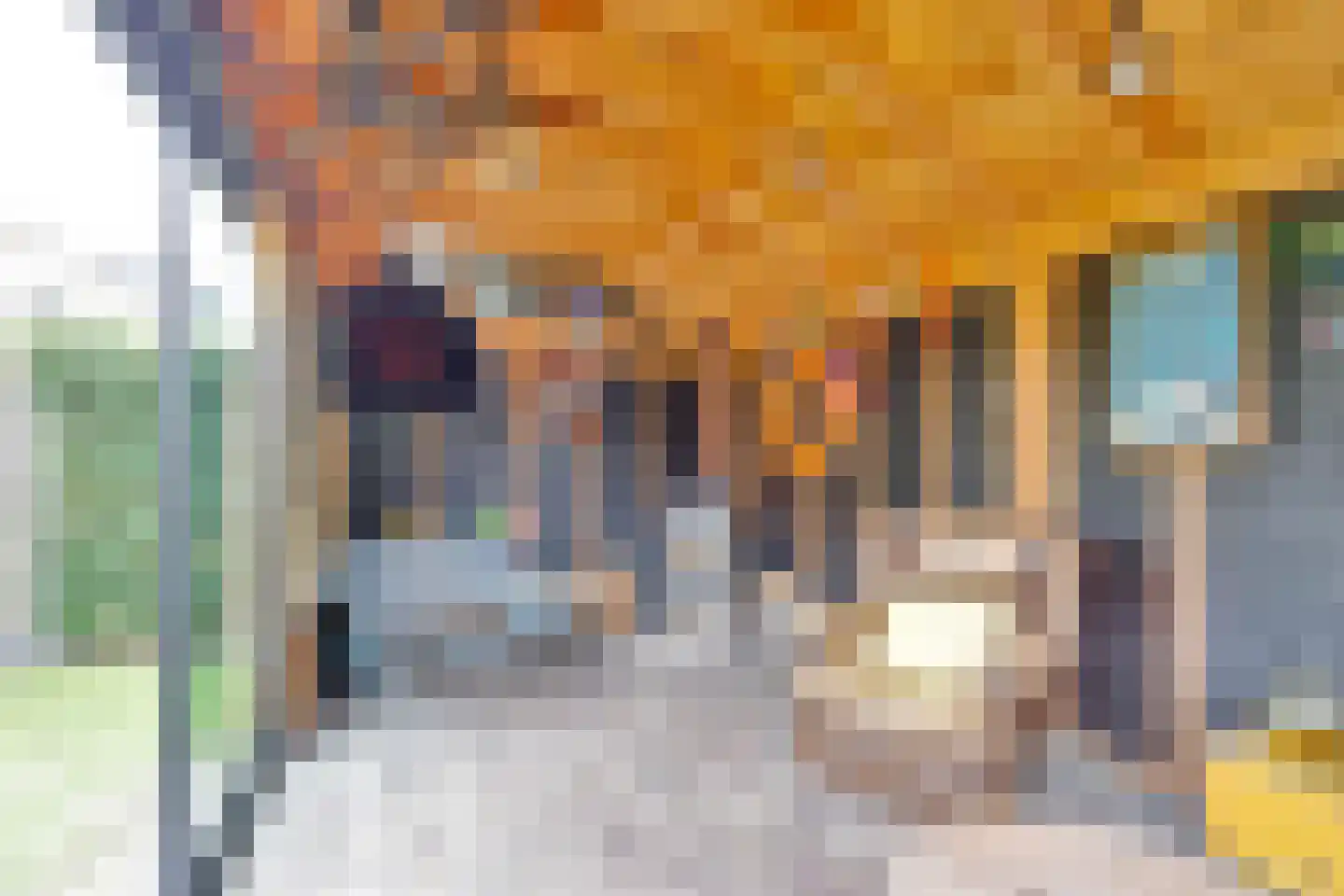 Beeklaan 22 Oldebroek thumbnail 65