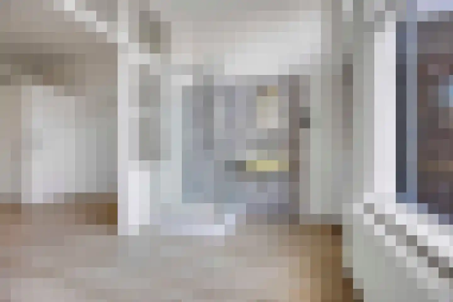 Beeklaan 226 Den Haag thumbnail 12