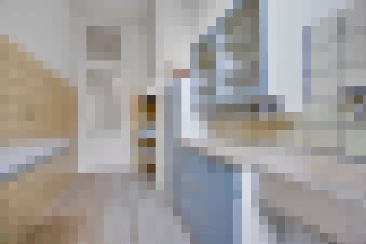 Beeklaan 226 Den Haag thumbnail 16