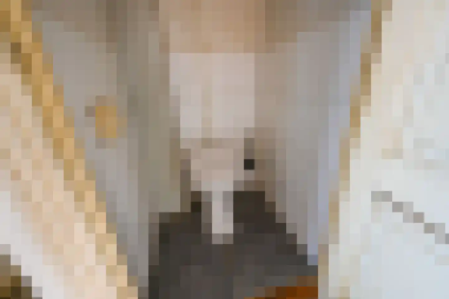 Beeklaan 226 Den Haag thumbnail 33