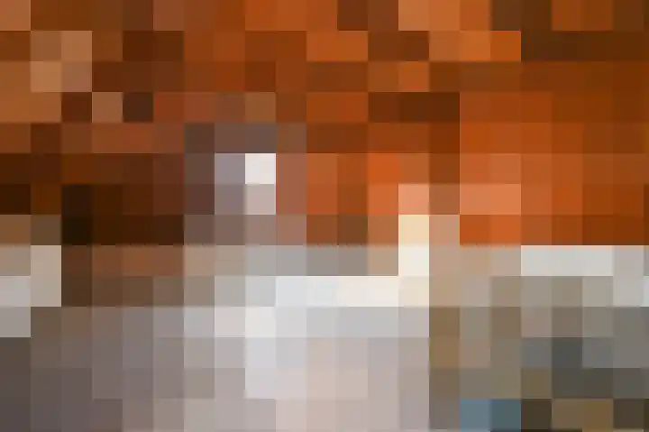 Beeklaan 226 Den Haag thumbnail 34