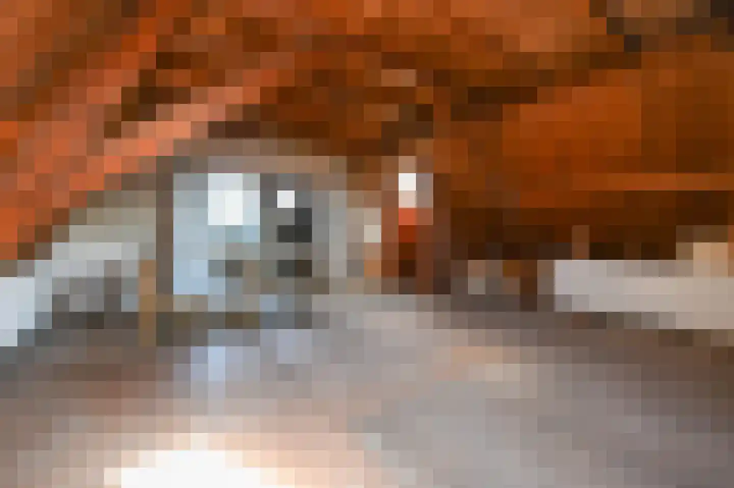 Beeklaan 226 Den Haag thumbnail 35