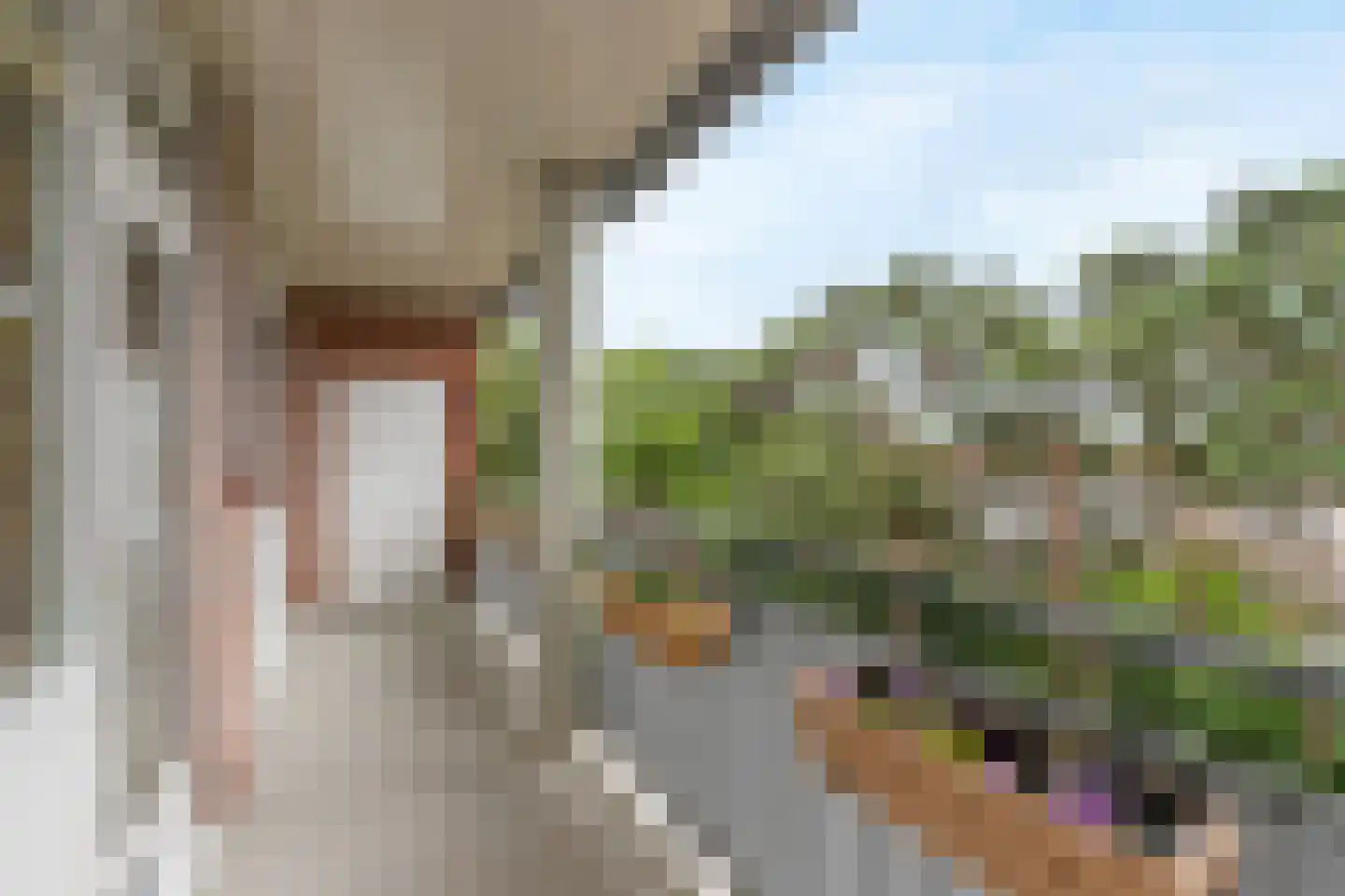 Beeklaan 23 Bussum thumbnail 12