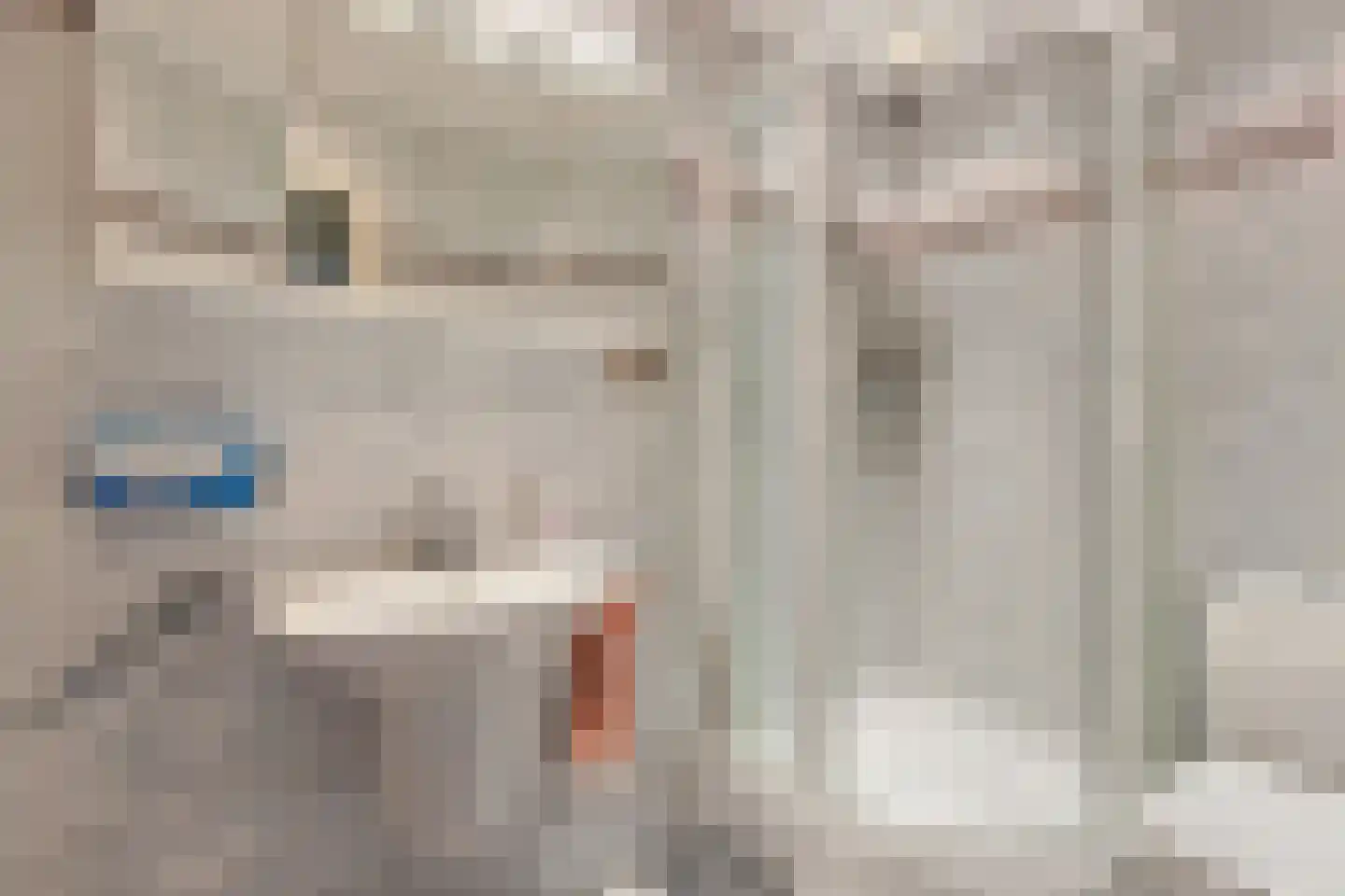 Beeklaan 23 Bussum thumbnail 17