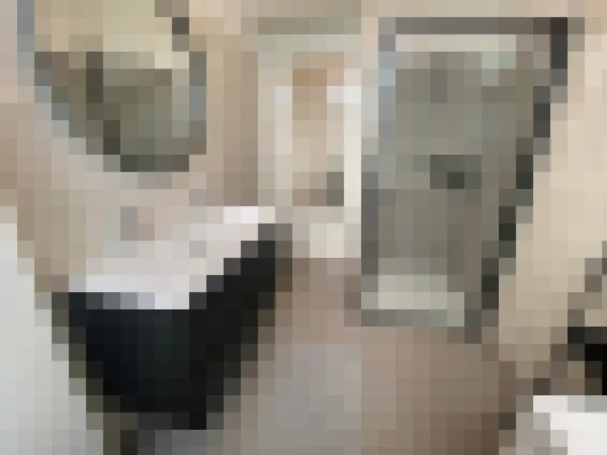 Beeklaan 233 Den Haag thumbnail 4