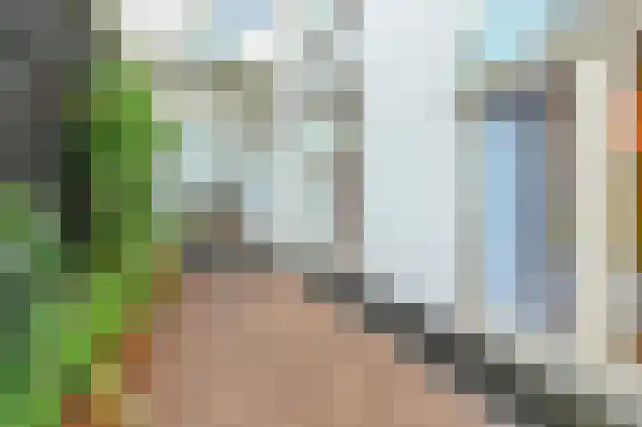 Beeklaan 246 Den Haag thumbnail 15