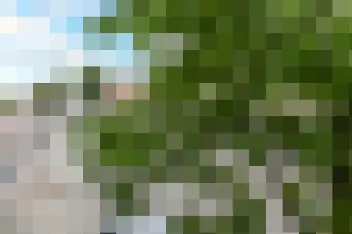 Beeklaan 246 Den Haag thumbnail 20