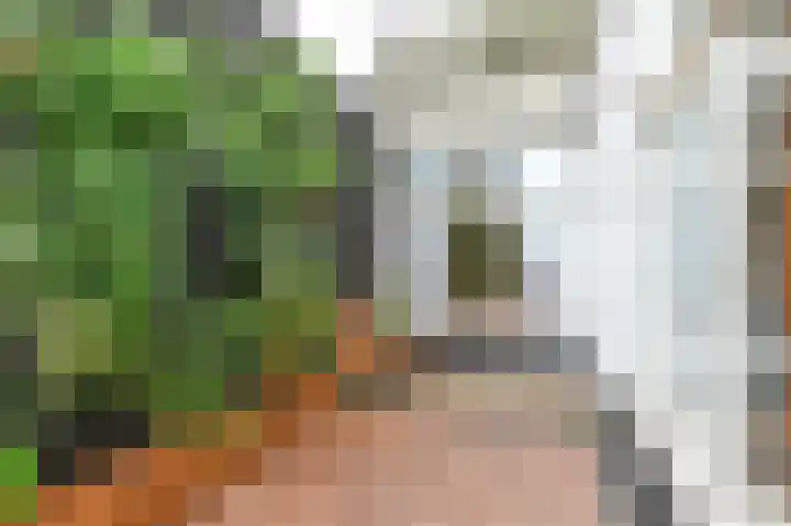 Beeklaan 246 Den Haag thumbnail 25