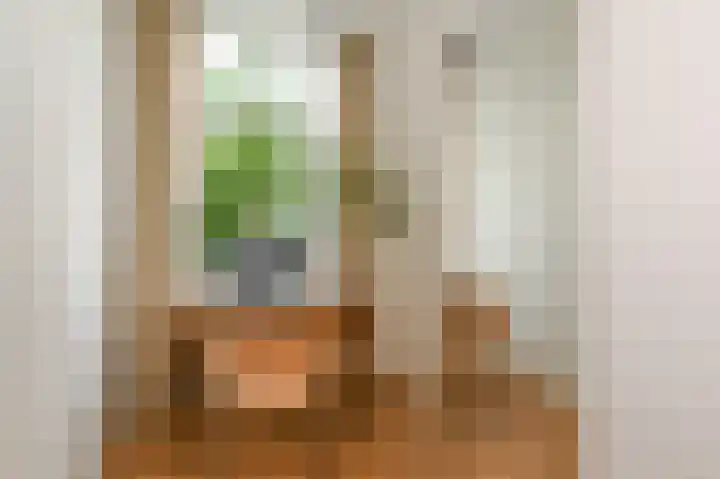 Beeklaan 246 Den Haag thumbnail 48
