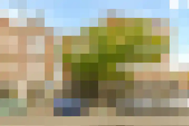 Beeklaan 246 Den Haag thumbnail 5