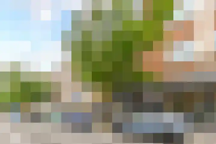 Beeklaan 246 Den Haag thumbnail 53