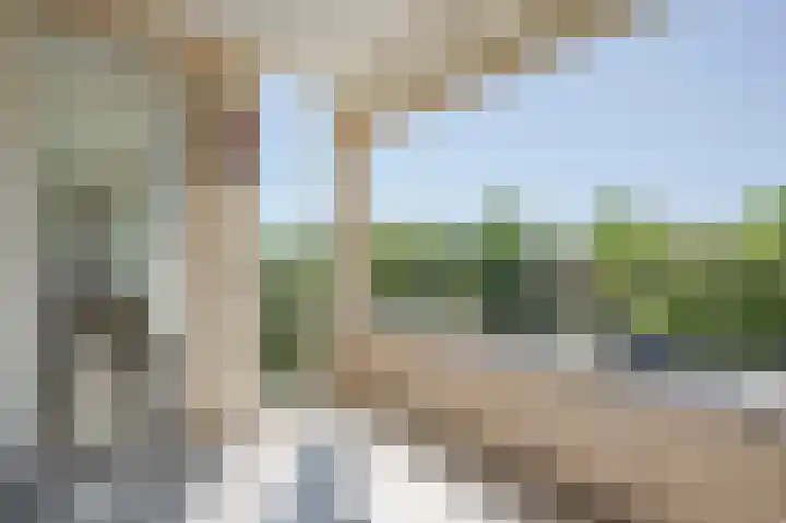 Beeklaan 246 Noordwijk thumbnail 12
