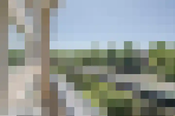 Beeklaan 246 Noordwijk thumbnail 13