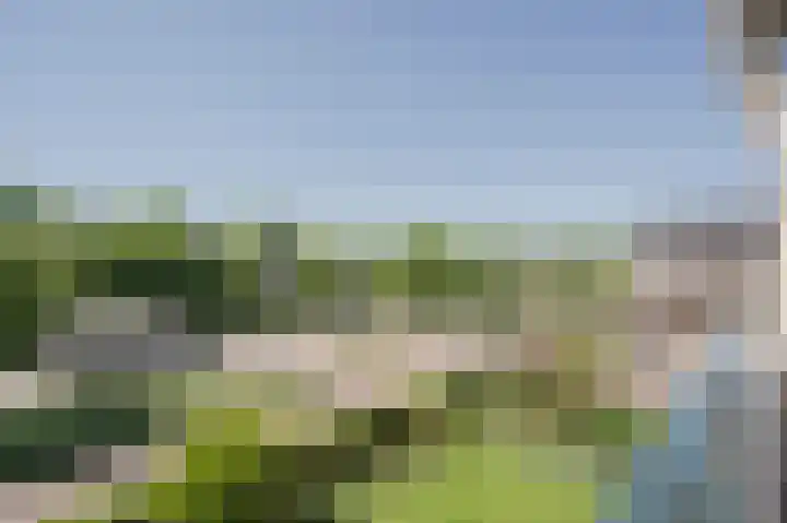 Beeklaan 246 Noordwijk thumbnail 14