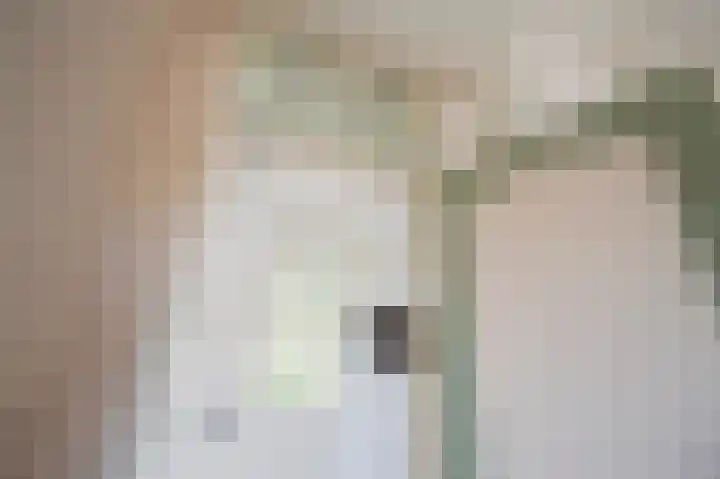 Beeklaan 246 Noordwijk thumbnail 33