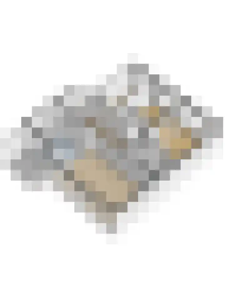 Beeklaan 246 Noordwijk thumbnail 49