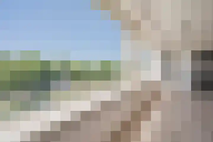 Beeklaan 246 Noordwijk thumbnail 7