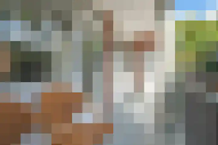 Beeklaan 25 Bussum thumbnail 14