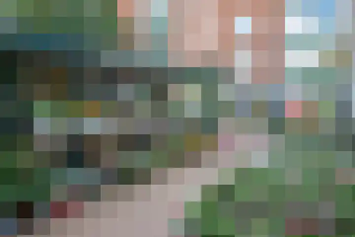 Beeklaan 25 Bussum thumbnail 24