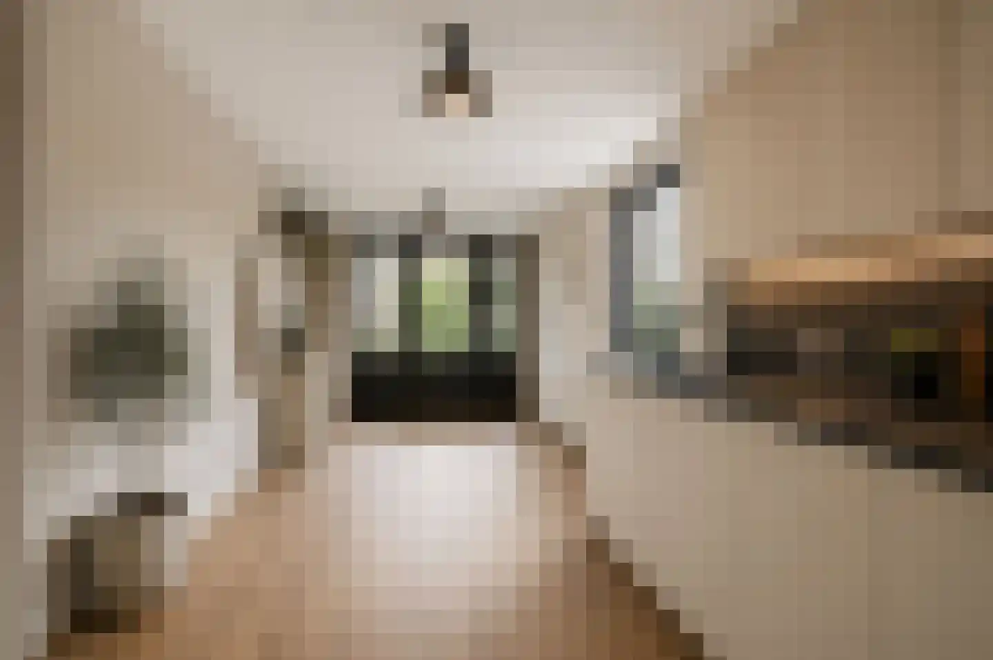 Beeklaan 27 Maarn thumbnail 16