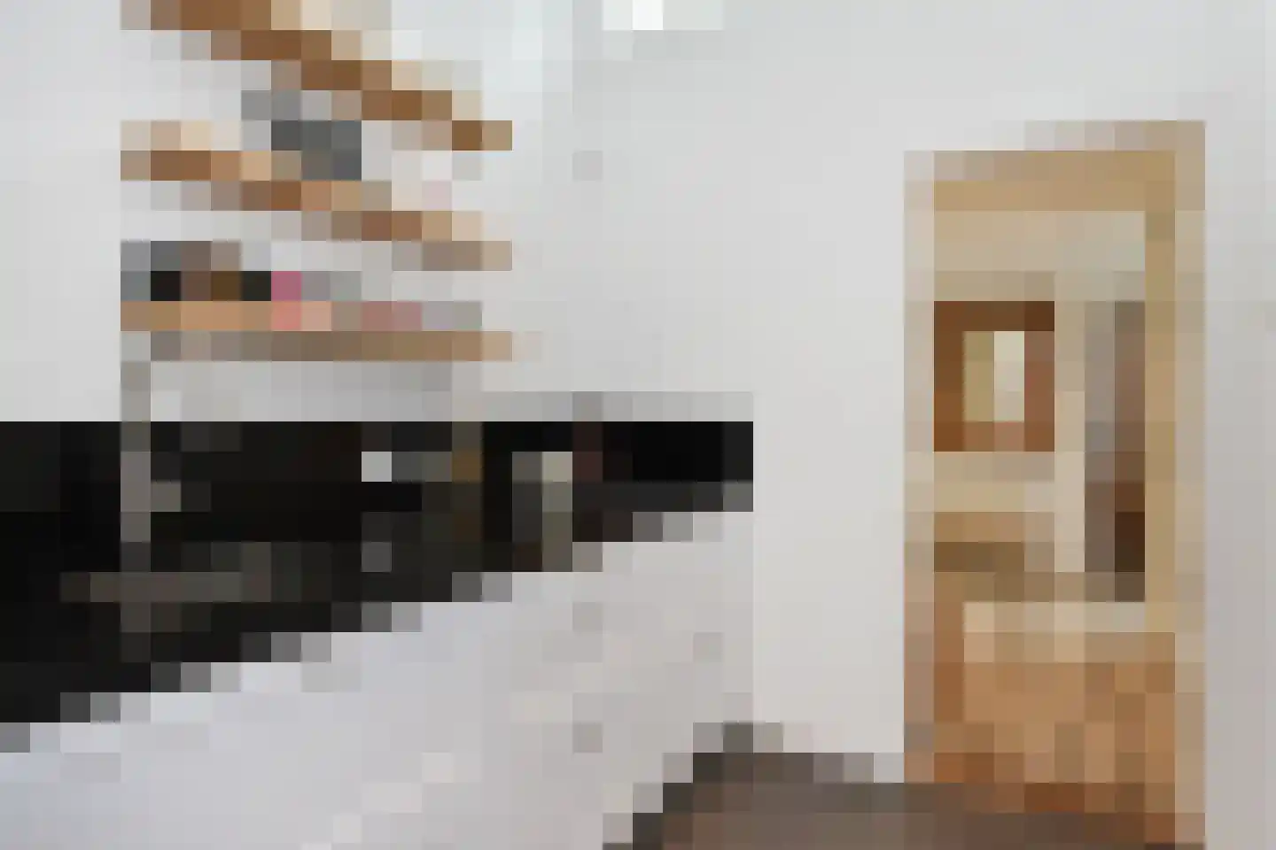 Beeklaan 285 Den Haag thumbnail 18