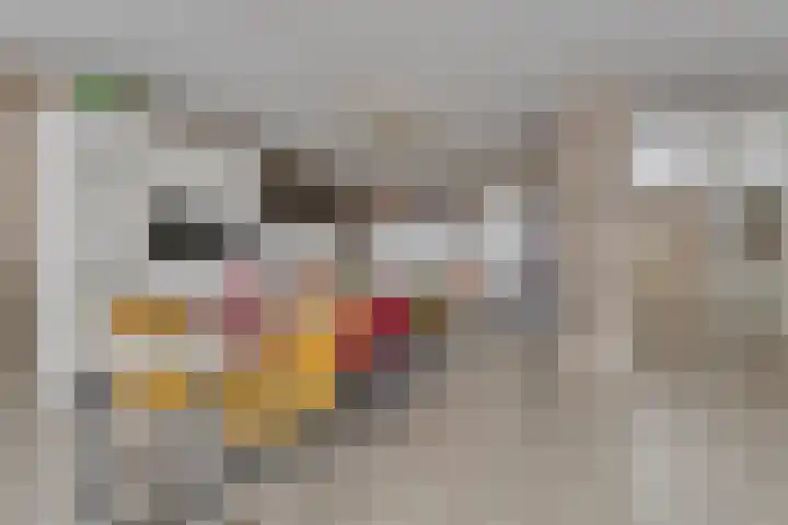 Beeklaan 3 A Aalten thumbnail 11