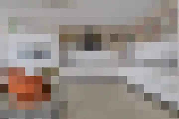 Beeklaan 3 A Aalten thumbnail 13