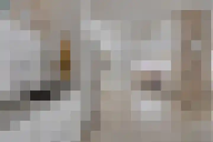 Beeklaan 3 A Aalten thumbnail 15