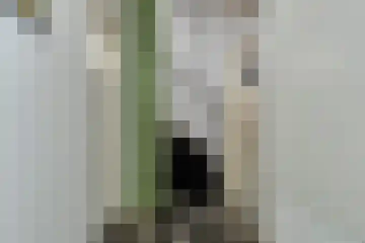 Beeklaan 3 A Aalten thumbnail 26
